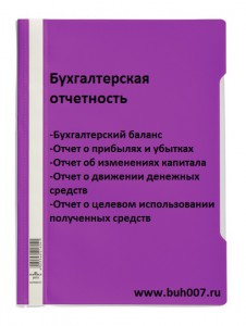 Бухгалтерская отчетность ООО ИП ЗАО