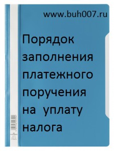 Порядок заполнения платежного поручения на уплату налога